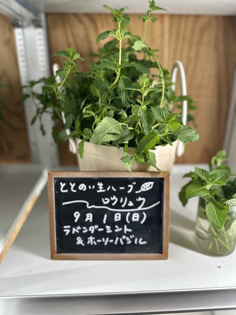 Kummyさんの各務原 恵みの湯のサ活写真