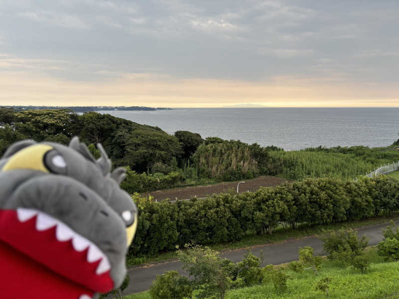 富士山さんの海と夕日の湯のサ活写真