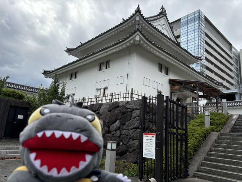 富士山さんの富士山天然水SPA サウナ鷹の湯のサ活写真