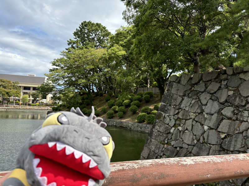 富士山さんのサウナしきじのサ活写真