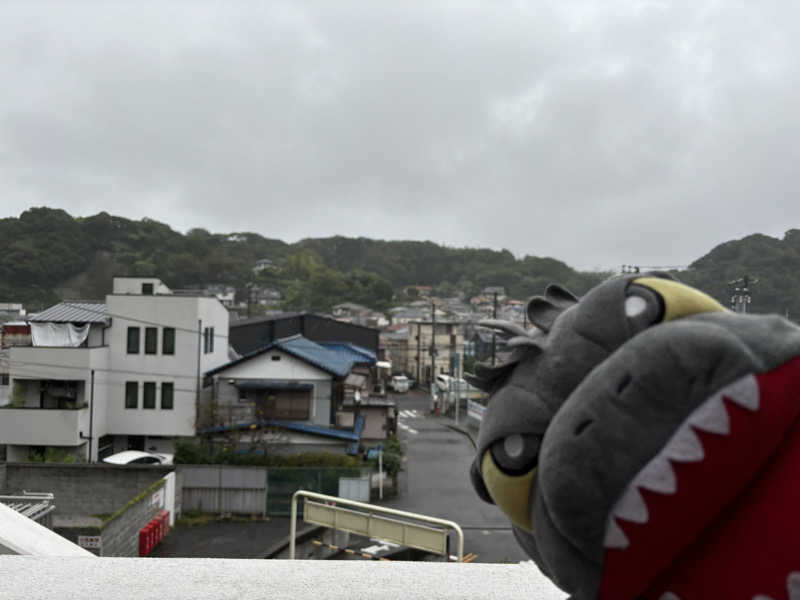 富士山さんの佐野天然温泉 湯処 のぼり雲のサ活写真