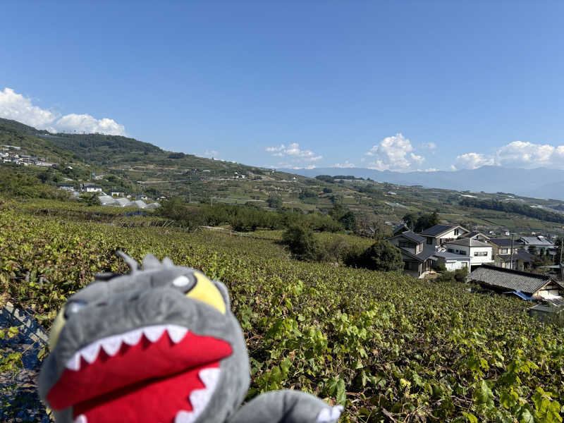 富士山さんのフルーツパーク富士屋ホテルのサ活写真