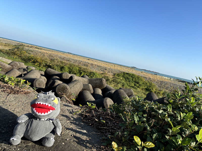 富士山さんの佐野天然温泉 湯処 のぼり雲のサ活写真