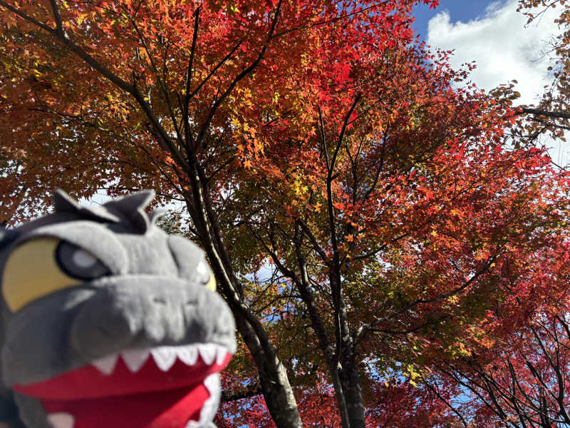 富士山さんの京王高尾山温泉 極楽湯のサ活写真