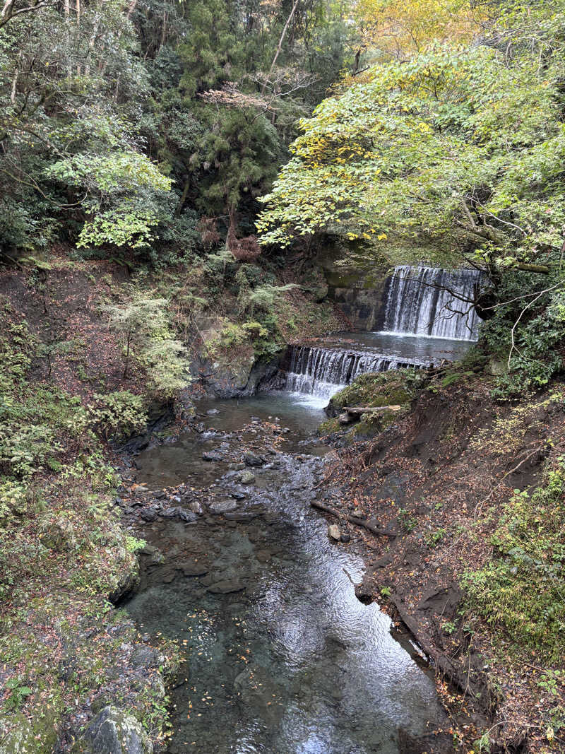 富士山さんの京王高尾山温泉 極楽湯のサ活写真