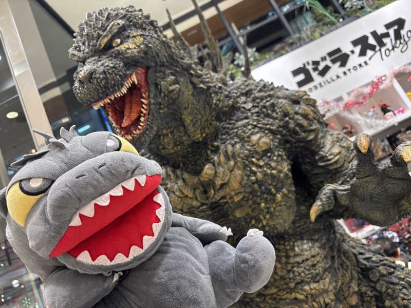 富士山さんの新宿天然温泉 テルマー湯のサ活写真