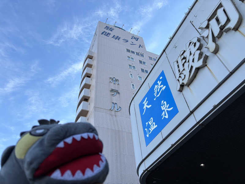 富士山さんの駿河健康ランドのサ活写真