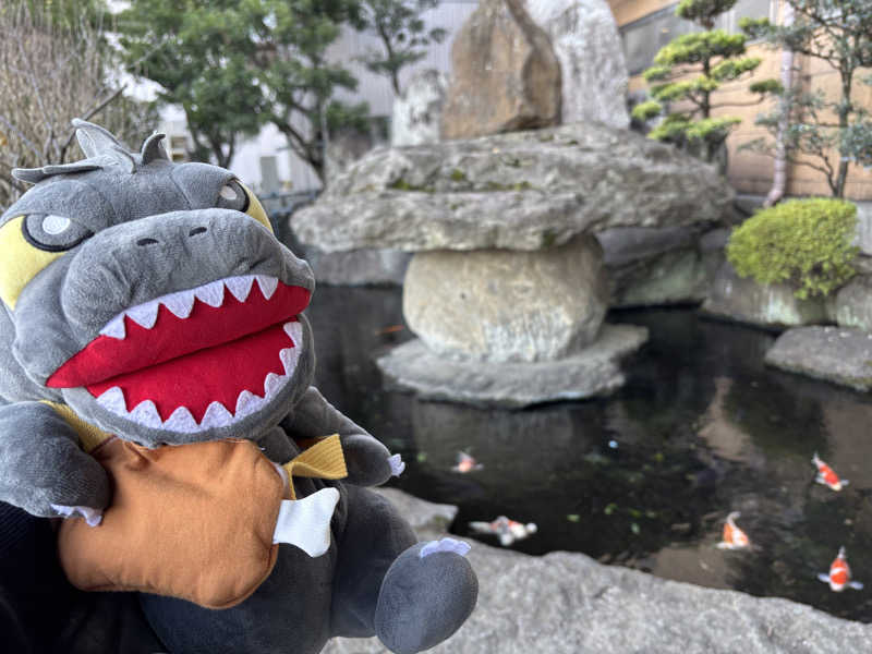 富士山さんの駿河健康ランドのサ活写真