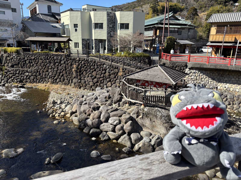 富士山さんの湯の国会館のサ活写真