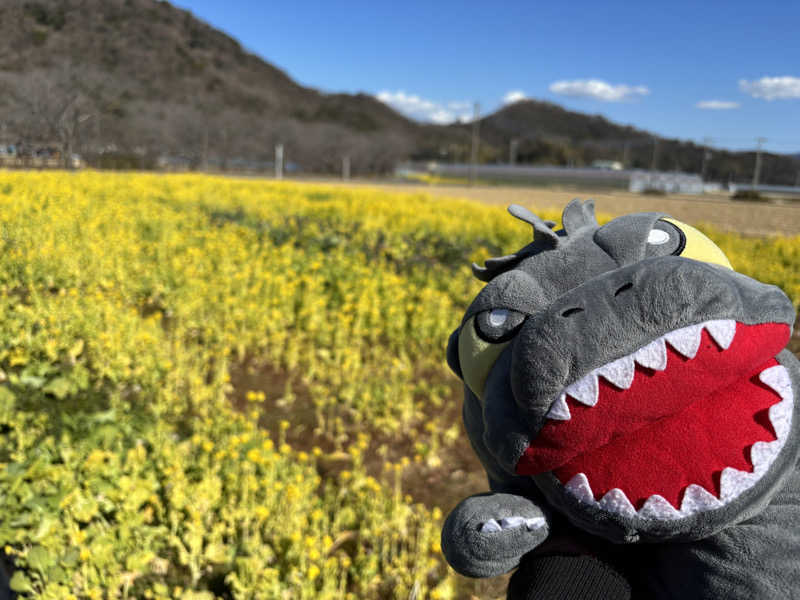富士山さんの湯の国会館のサ活写真