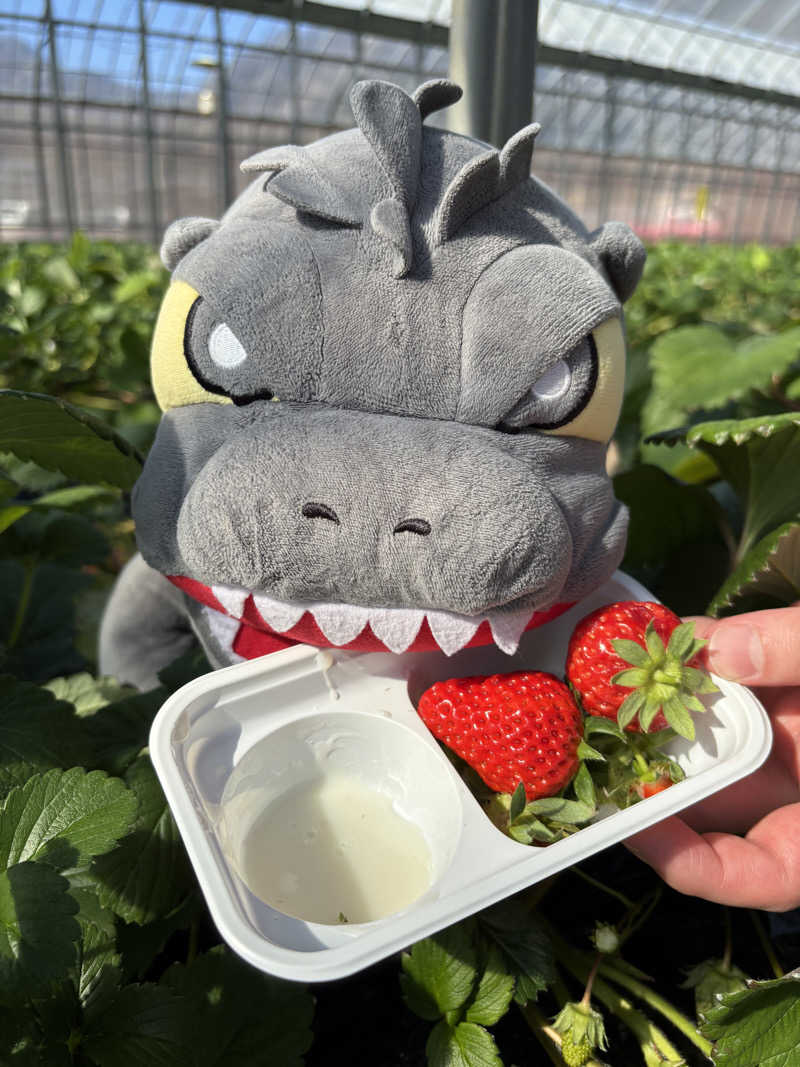 富士山さんの湯の国会館のサ活写真