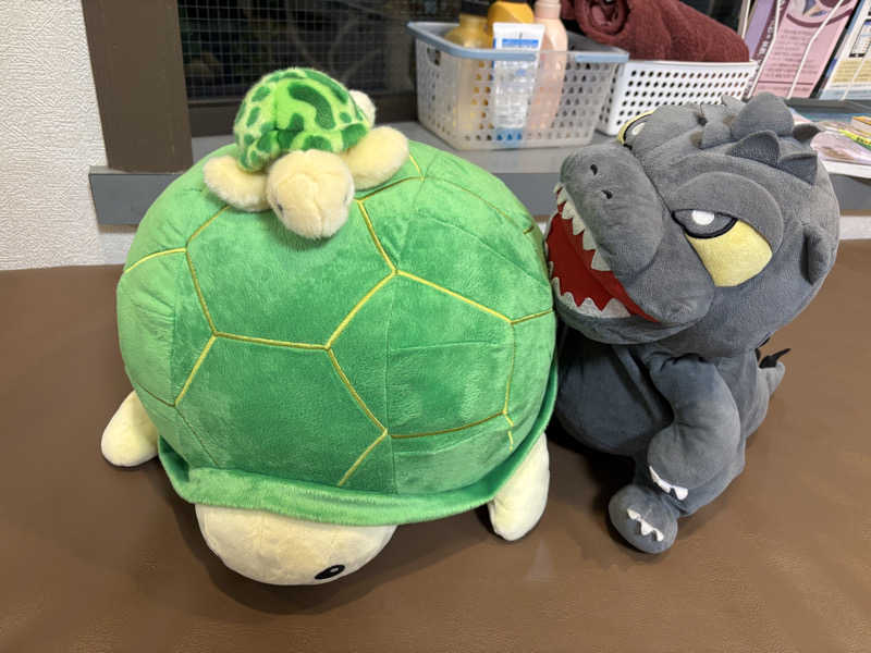 富士山さんの亀遊舘のサ活写真