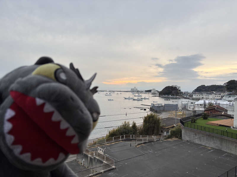 富士山さんの亀遊舘のサ活写真