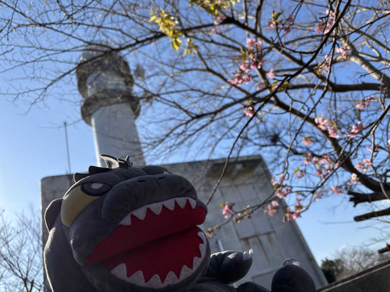 富士山さんのやすらぎ温泉のサ活写真