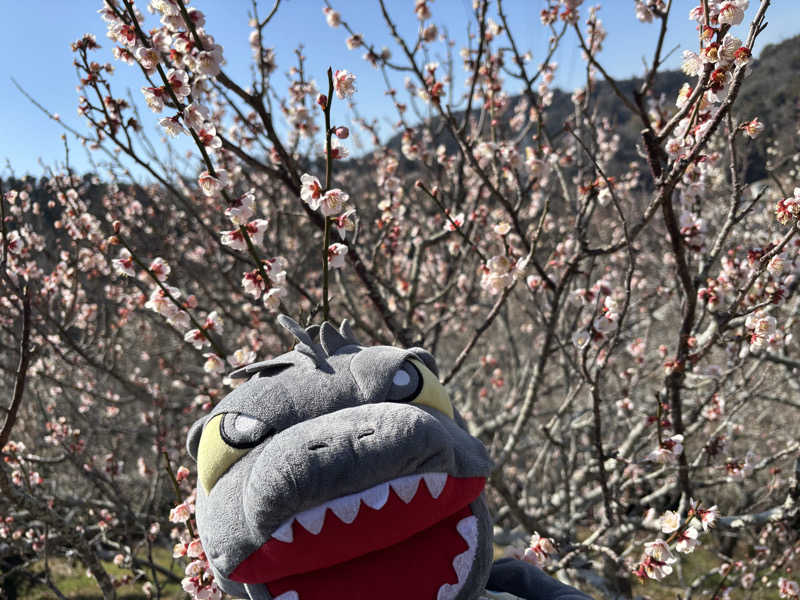 富士山さんの天然温泉ロテン・ガーデンのサ活写真