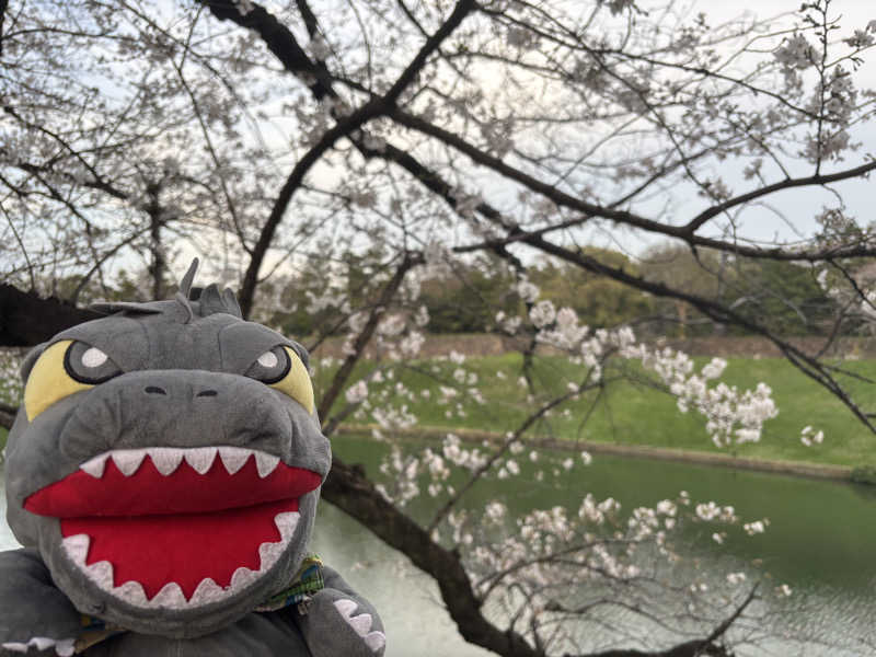 富士山さんの黄金湯のサ活写真