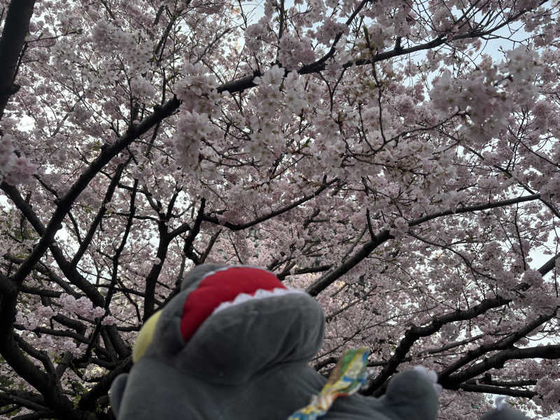 富士山さんの黄金湯のサ活写真