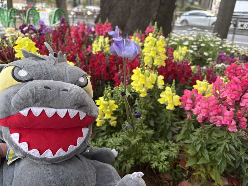 富士山さんの黄金湯のサ活写真
