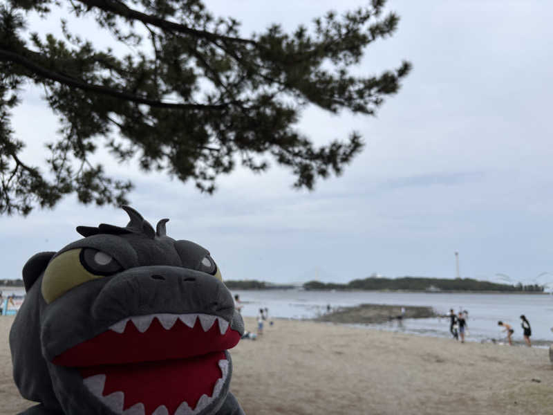 富士山さんの亀遊舘のサ活写真