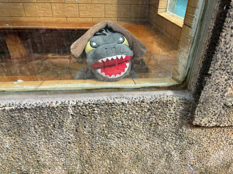 富士山さんの旧金山総督温泉のサ活写真