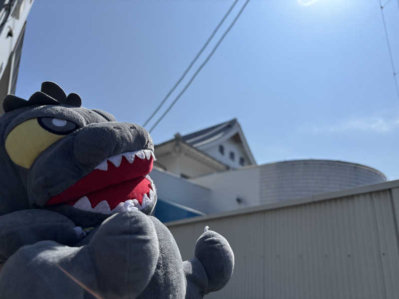 富士山さんの亀遊舘のサ活写真
