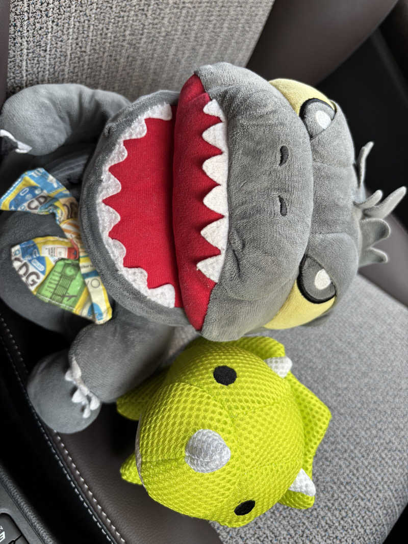 富士山さんの湯乃泉 東名厚木健康センターのサ活写真