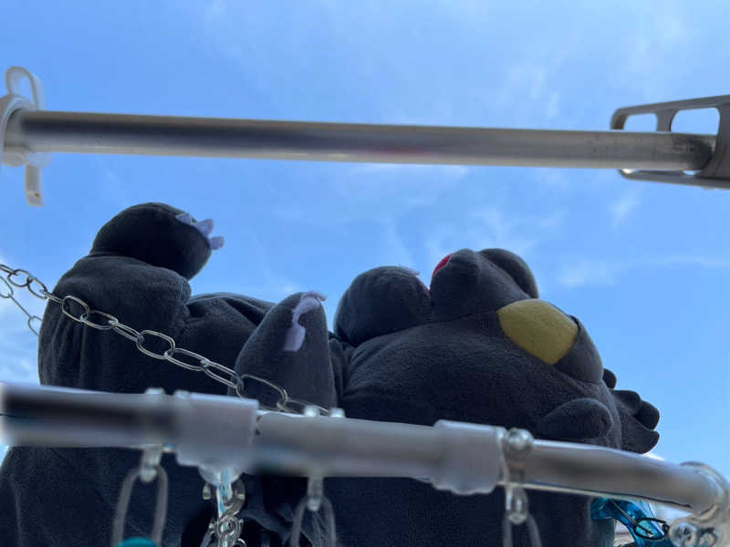 富士山さんのスカイスパYOKOHAMAのサ活写真