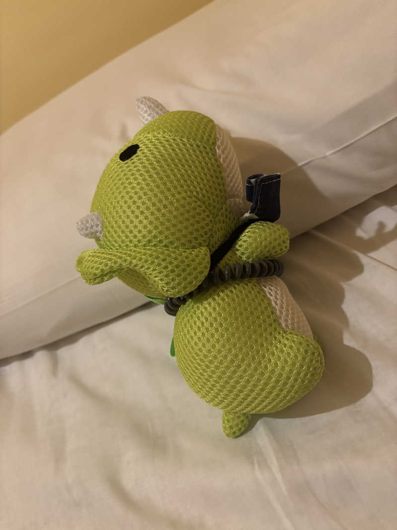 富士山さんのカプセルホテル&サウナ コスモプラザ赤羽のサ活写真