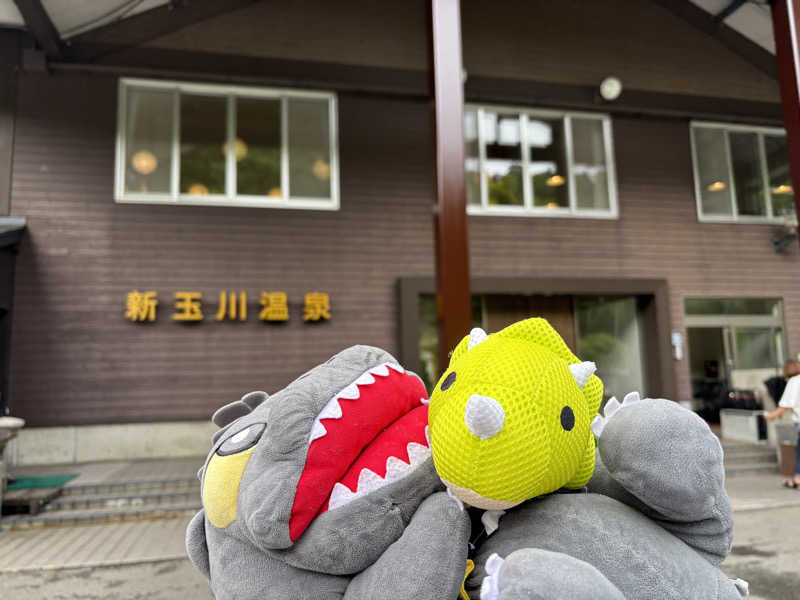 富士山さんの新玉川温泉のサ活写真