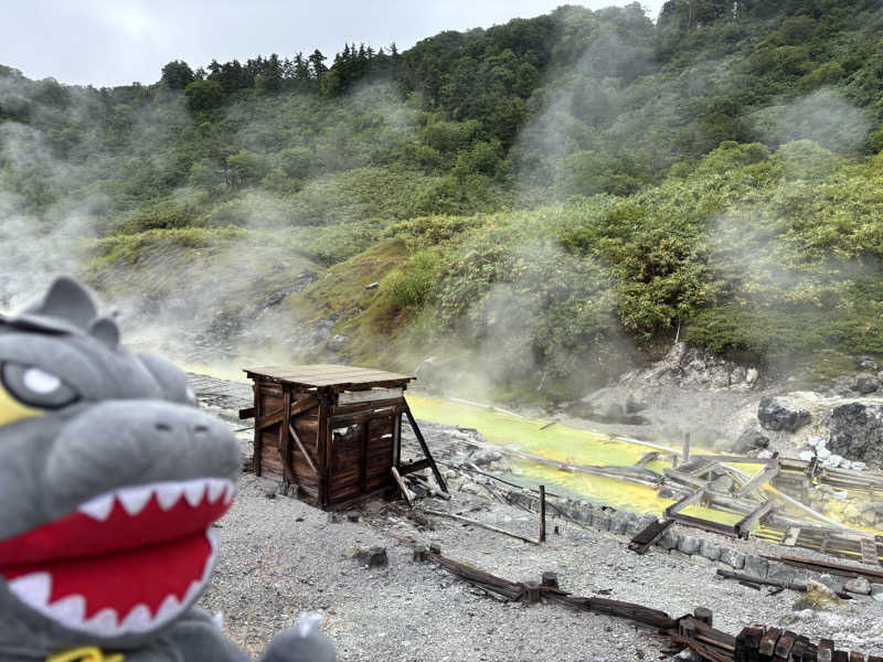 富士山さんの新玉川温泉のサ活写真