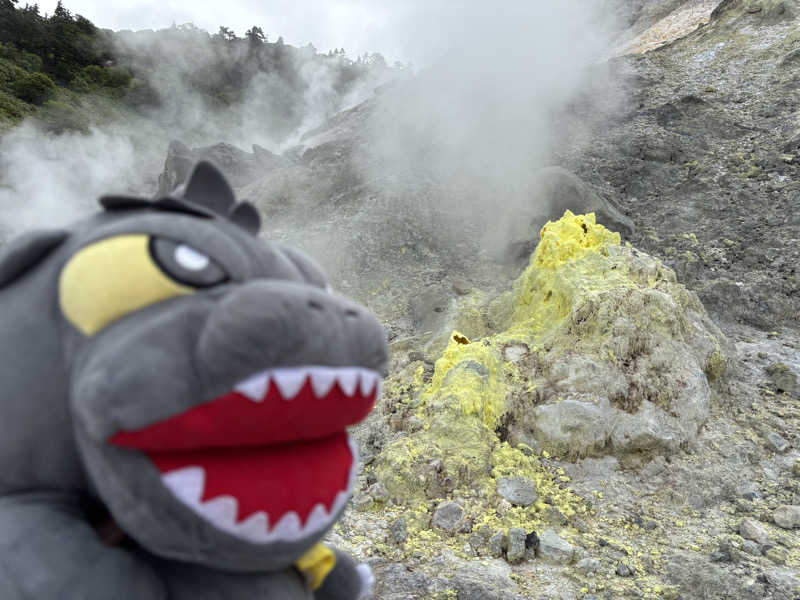 富士山さんの新玉川温泉のサ活写真