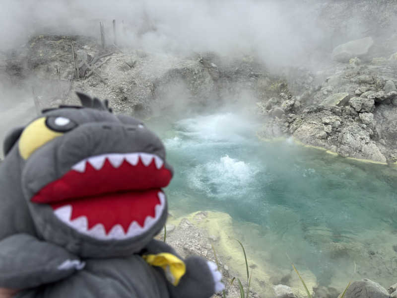 富士山さんの新玉川温泉のサ活写真