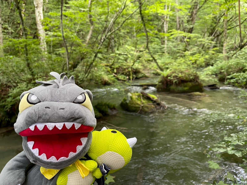 富士山さんの新玉川温泉のサ活写真