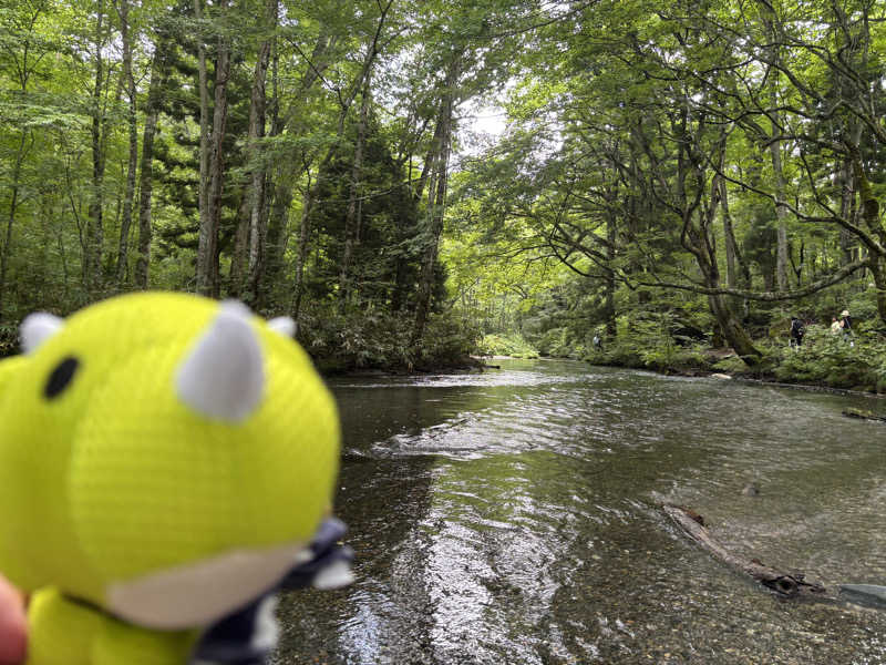 富士山さんの新玉川温泉のサ活写真