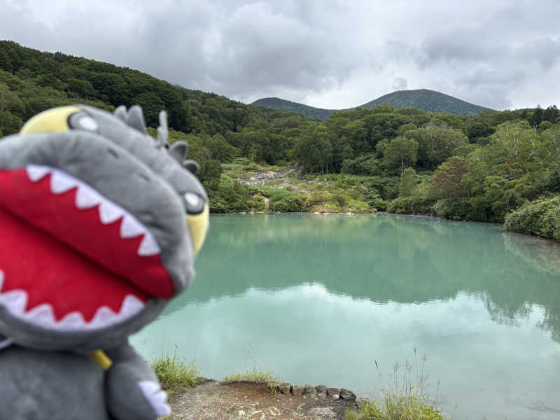 富士山さんのホテルクラウンヒルズいわき(BBHホテルグループ)のサ活写真