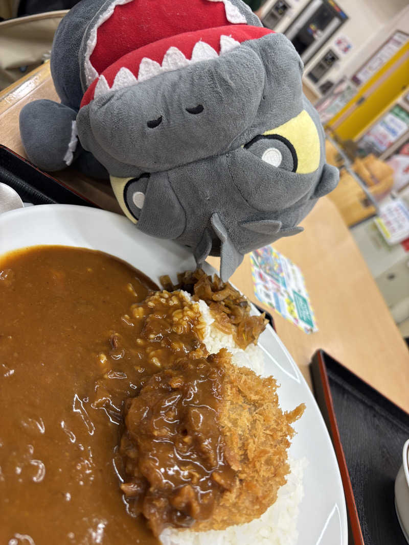 富士山さんのホテルクラウンヒルズいわき(BBHホテルグループ)のサ活写真