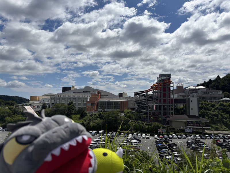 富士山さんのスパリゾートハワイアンズのサ活写真