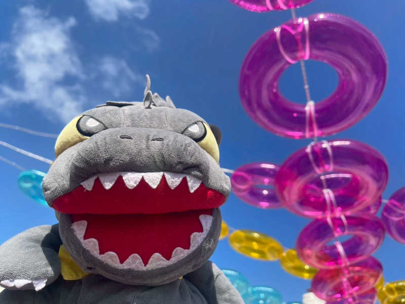 富士山さんのスパリゾートハワイアンズのサ活写真