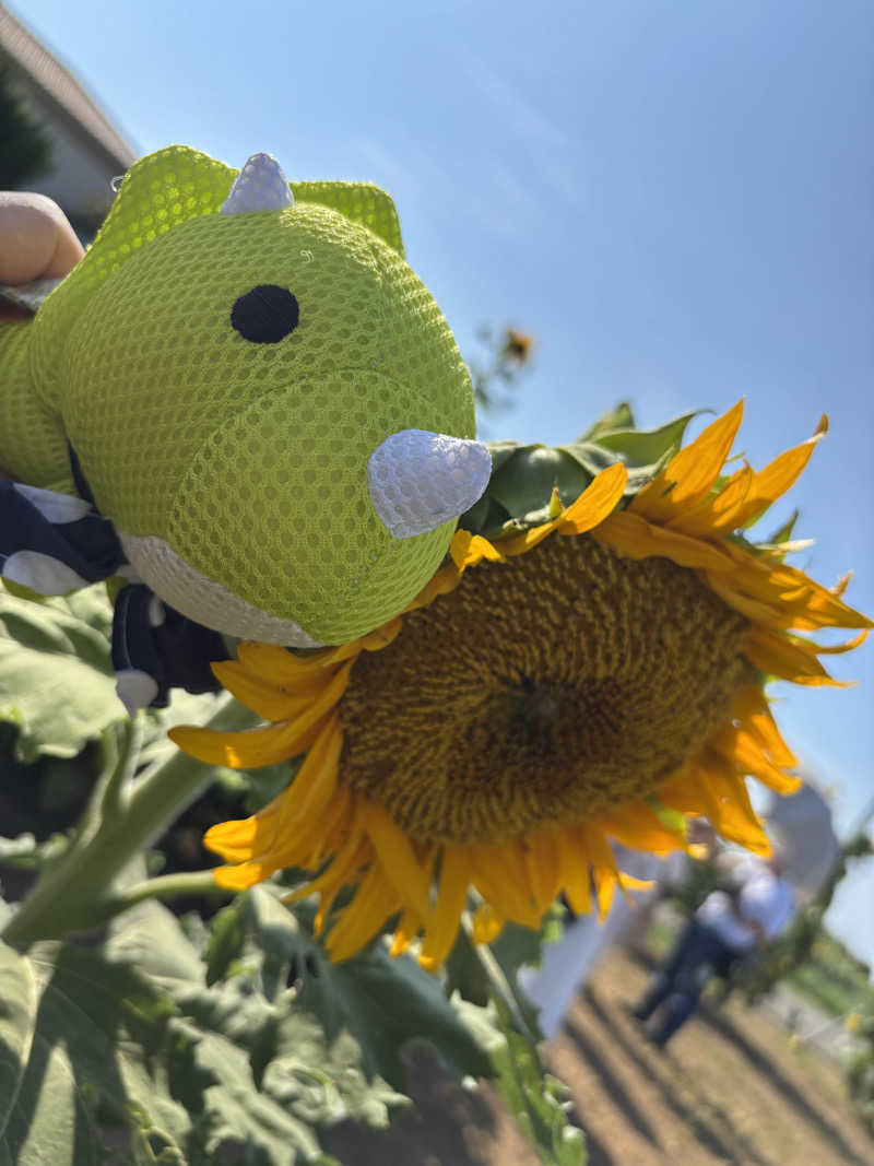 富士山さんの海と夕日の湯のサ活写真
