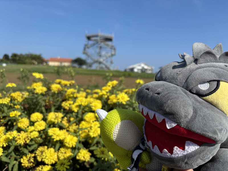 富士山さんの海と夕日の湯のサ活写真