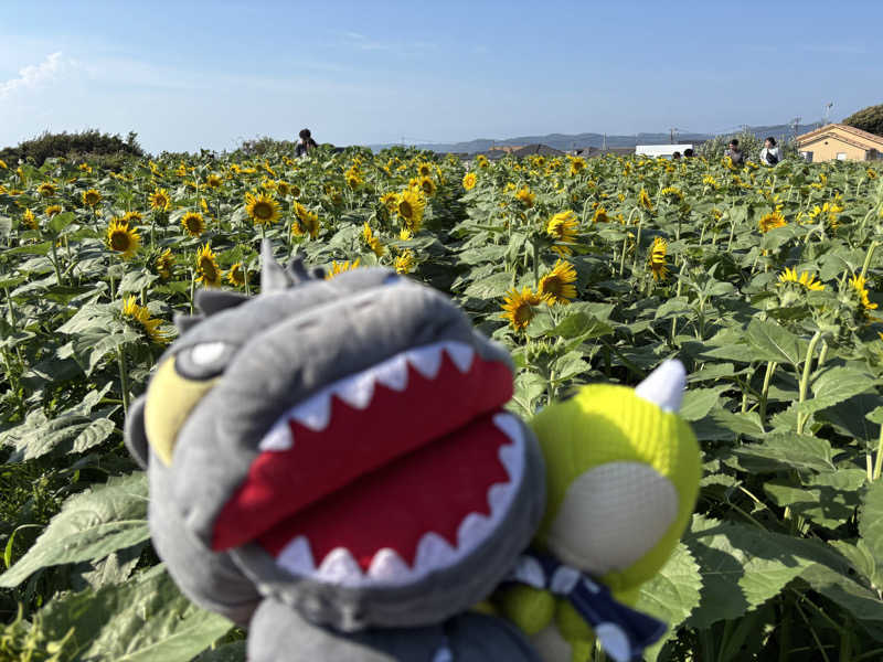 富士山さんの海と夕日の湯のサ活写真