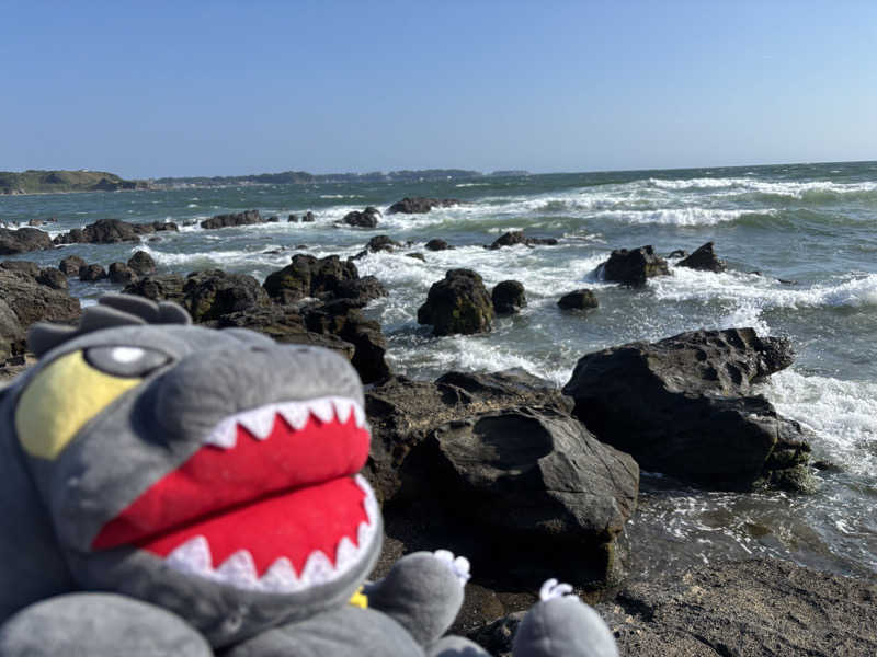 富士山さんの海と夕日の湯のサ活写真