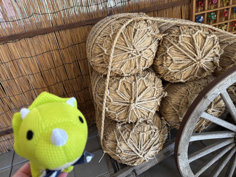富士山さんの天然温泉 満天の湯のサ活写真