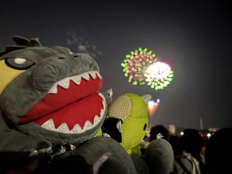 富士山さんの亀遊舘のサ活写真