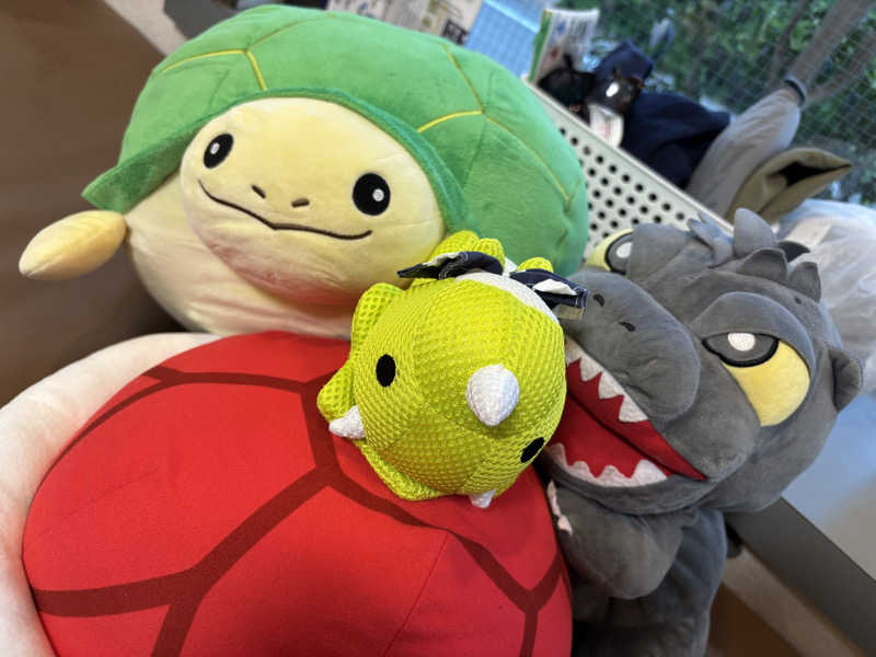 富士山さんの亀遊舘のサ活写真