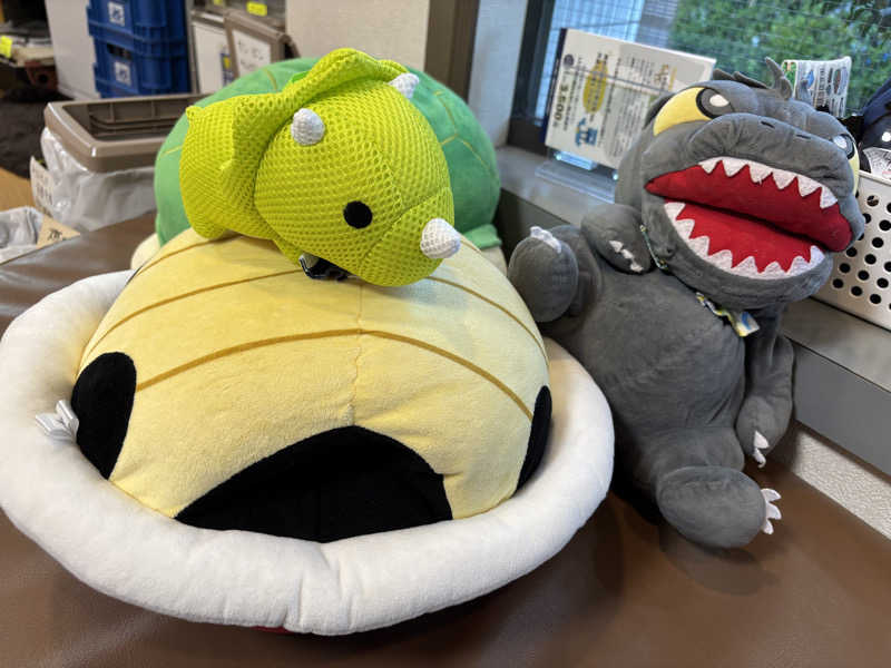 富士山さんの亀遊舘のサ活写真