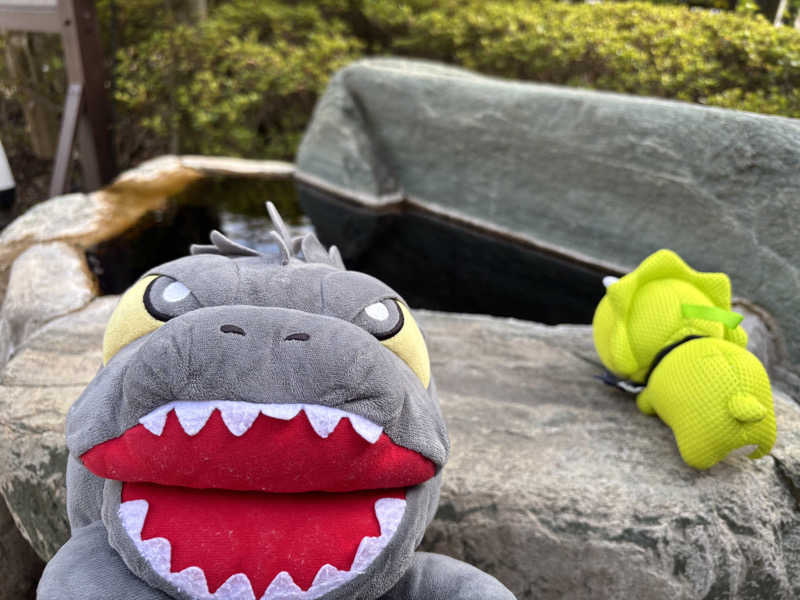 富士山さんの極楽湯 横浜芹が谷店のサ活写真