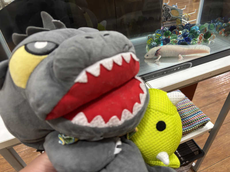 富士山さんの富士八景の湯のサ活写真