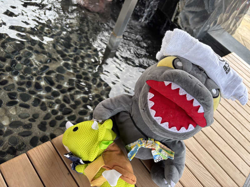 富士山さんのスパランド ホテル内藤のサ活写真