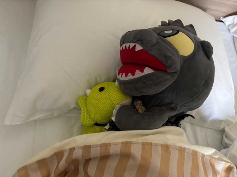 富士山さんのスパランド ホテル内藤のサ活写真